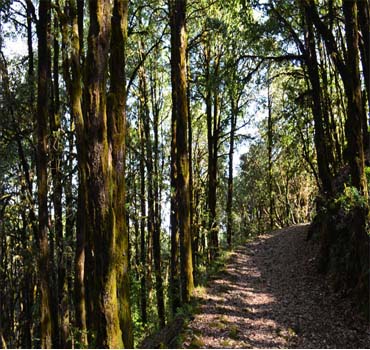 Binsar Wildlife Sanctuary